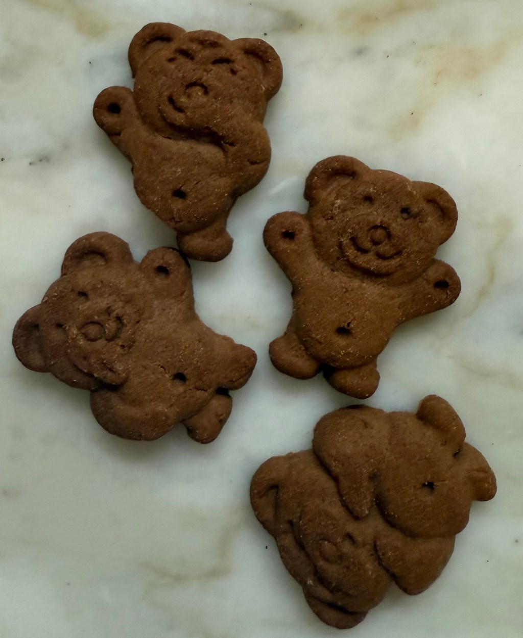 30 Plant Monday: Fridge Foraging, Coffee Love, and Rescue&nbsp;Teddies